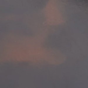 صورة المنتج 4